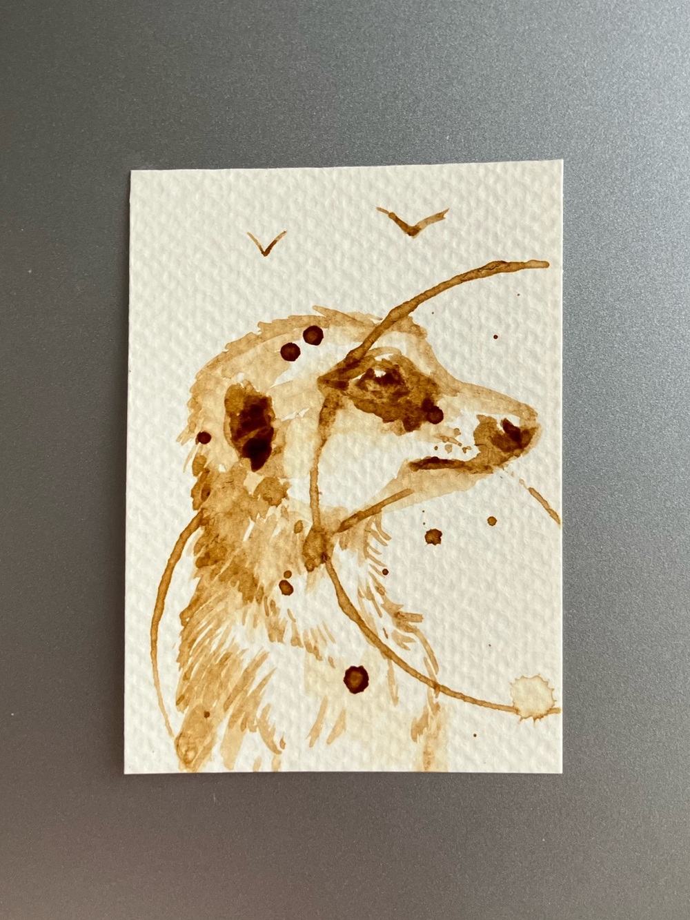 ORIGINAL coffee meerkat painting animal art miniature realism aceo artwork